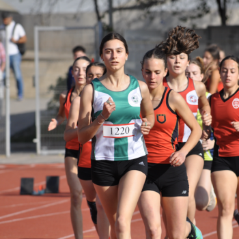 Captura de pantalla 2025-10-06 a la(s) 12.25.01 a. m.